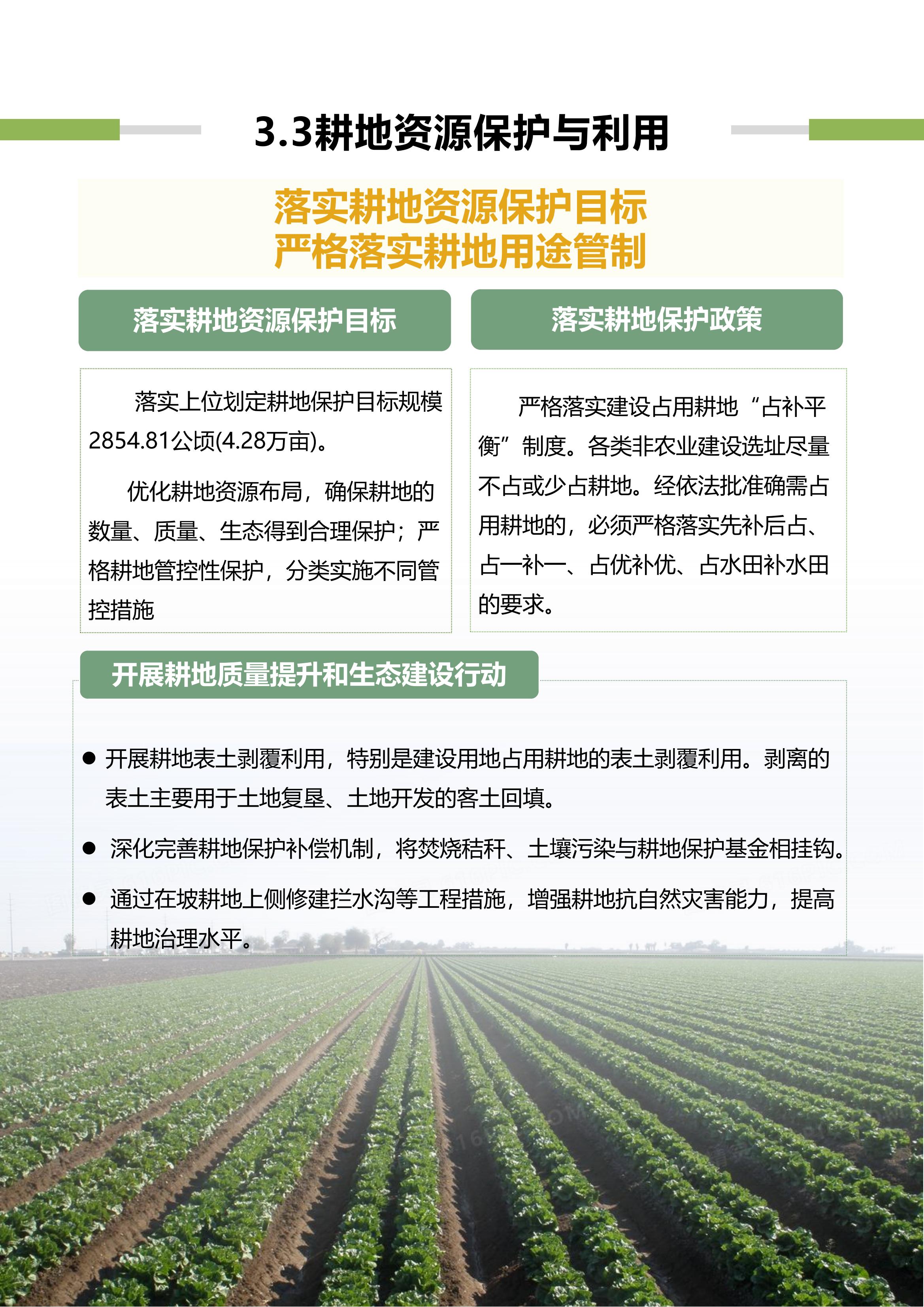 稻地镇国空公示版式20231220_13.jpg