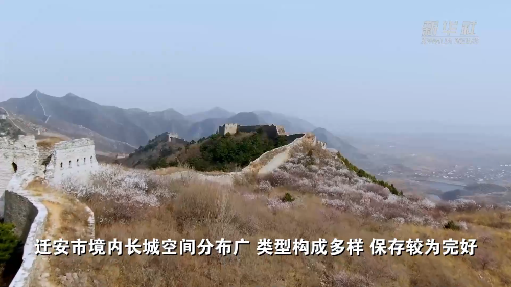 c437cc47ff1a97cec126e6508eee36a1.png c437cc47ff1a97cec126e6508eee36a1.png