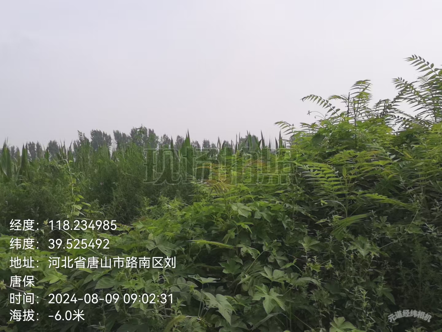 e705bdab0252bb8d8ea2e854ef86cc2.jpg